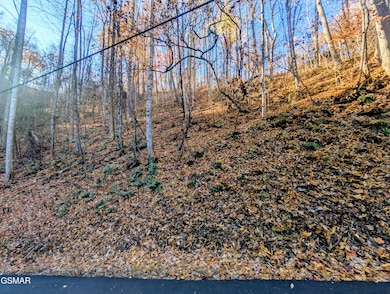 Lot 339 Ridgefield Dr, Sevierville, TN 37876 - photo 2