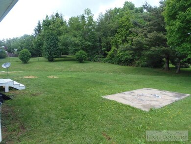 Big Back Yard