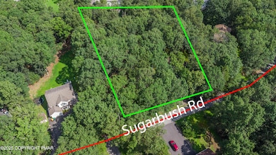 0 Sugarbush Rd 410 Rd, Henryville, PA 18332 - photo 4