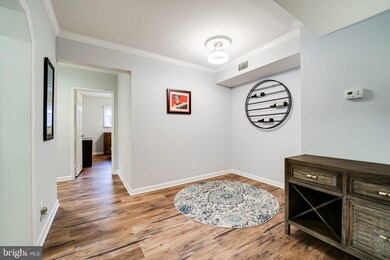 207 Skyhill Rd unit 3, Alexandria, VA 22314 - photo 6