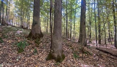 IMG_1460