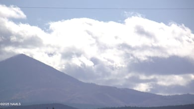 4620 S First Ave, Valle, AZ 86046 - photo 7