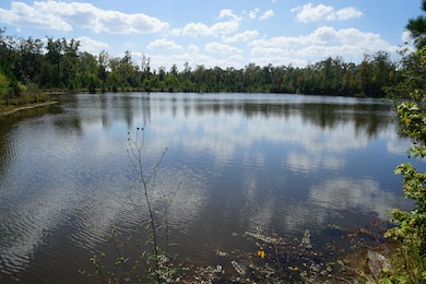 1911 County Road 56, Buena Vista, AL 36425 - photo 2