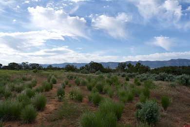 Lot 8 Road K 3, Cortez, CO 81321 - photo 7