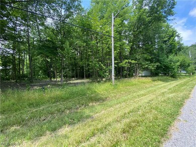 0 Columbia Ln unit 5051479, Roaming Shores, OH 44084 - photo 6