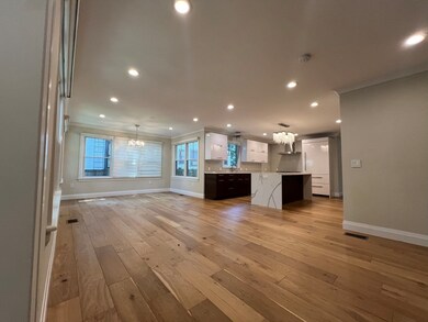 23 Winslow Rd unit 1, Brookline, MA 02446 - photo 4