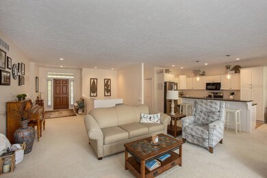 008_pin_oak_53