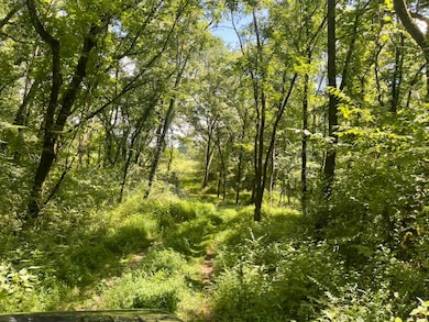 2313 Stephens Rd, Columbia, TN 38401 - photo 6