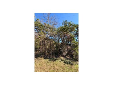 7401 Williamson Creek Dr unit 2, Austin, TX 78736 - photo 2