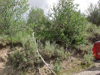 Land/Lot.