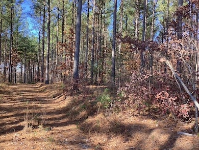 Lewis Ford Road (Lot 8), Brookneal, VA 24528 - photo 2