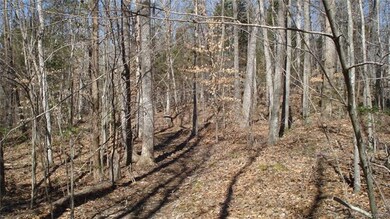 Mature mix of hardwoods