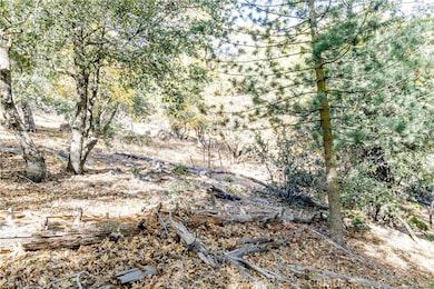 0 Alder Creek Rd unit SW24232393, Crestline, CA 92322 - photo 4