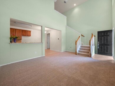 New neutral carpet in living room