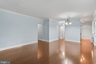 5014 Columbia Pike unit A, Arlington, VA 22204 - photo 5