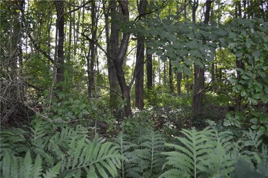 Lovely wooded area .