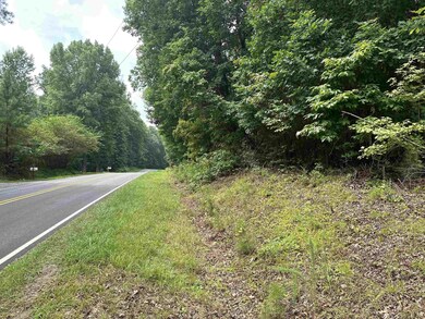 00 Moore Mountain Rd, Pittsboro, NC 27312 - photo 2