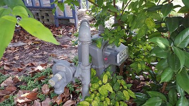 1110 Hamblen St, Houston, TX 77009 - photo 4