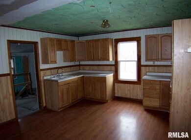 202 S Bellevue Ave, Peoria, IL 61604 - photo 5