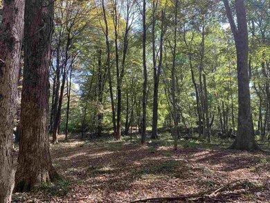 516 Swartekill Rd, New Paltz, NY 12561 - photo 2