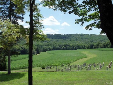 5025 Kohler Rd, Zionsville, PA 18092 - photo 5