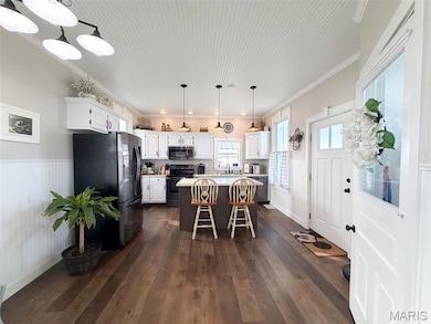 9040 Grassy Branch Rd, Germantown, IL 62245 - photo 4