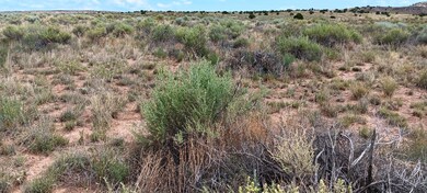 7060th, Chambers, AZ 86502 - photo 6