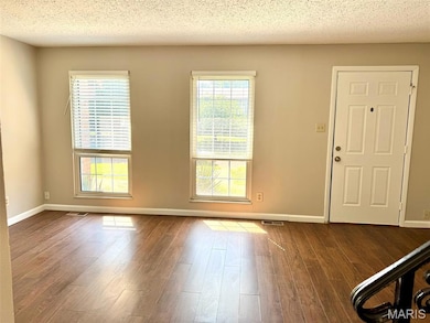 619 Rosetta Dr, Florissant, MO 63031 - photo 4