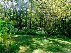 Yard/Garden.