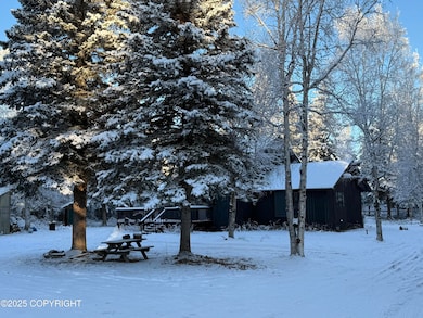 3448 Jack Warren Rd, Delta Junction, AK 99737 - photo 5