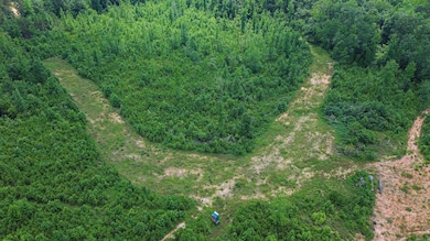 DJI_0977