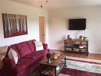 213 Old Newfound Rd, Leicester, NC 28748 - photo 5