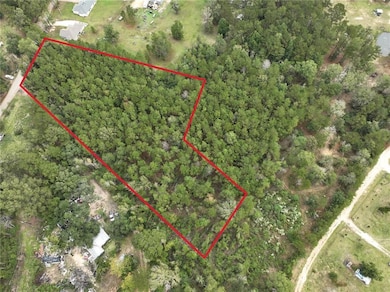 27823 J C Stewart Rd, Albany, LA 70711 - photo 3