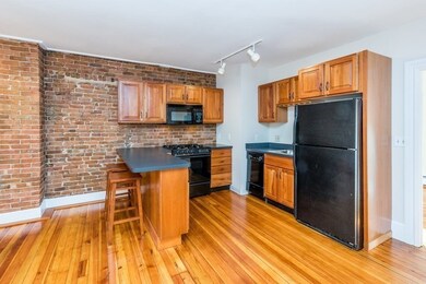33 E Springfield St unit 2, Boston, MA 02118 - photo 4