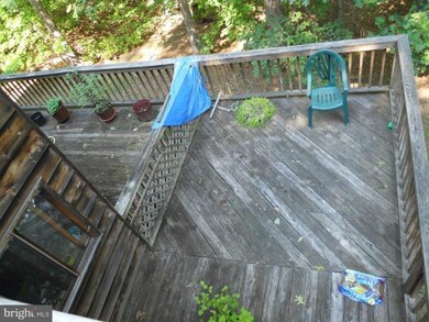 206 Windswept Rd, Mineral, VA 23117 - photo 7