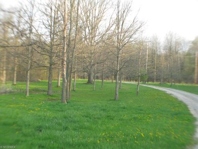 drive looking toward road
