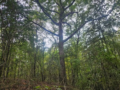 153-63 Houston Rd, Mount Olive, MS 39119 - photo 5