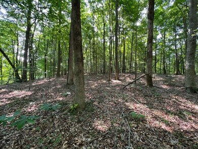10.97 AC H R Huffer Rd, Allons, TN 38541 - photo 3
