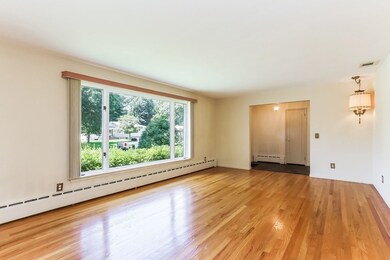 41 Wilkin Dr, Longmeadow, MA 01106 - photo 3