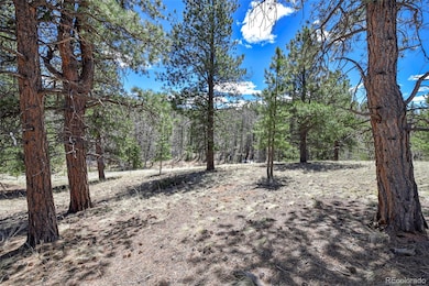 112 Blue Jay Ln, Florissant, CO 80816 - photo 6