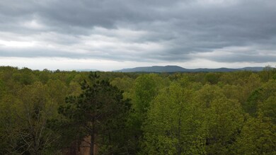Drone Picture