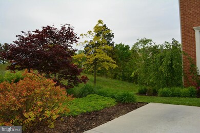 137 Oxbow Dr, Strasburg, VA 22657 - photo 3