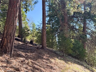 0 North Rd unit JT25064706, Twin Peaks, CA 92391 - photo 5