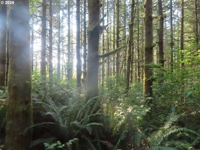 0 State Hwy 4 unit 7, Graysriver, WA 98621 - photo 4