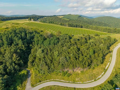 Lot 3 Twelve Ridges Way, Vesuvius, VA 24483 - photo 7