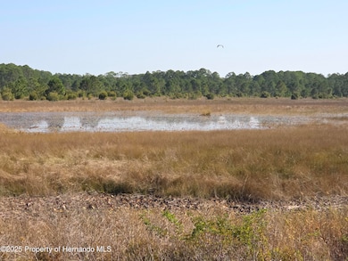 6345 Piedmont Dr, Spring Hill, FL 34606 - photo 4