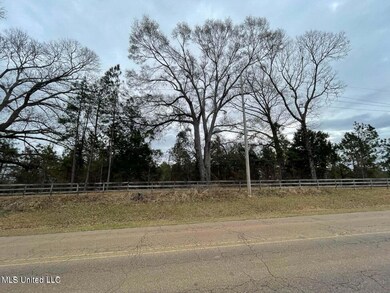 Springridge Rd 4