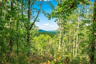 0 Clearview Dr unit RTC2683557, Ringgold, GA 30736 - photo 5