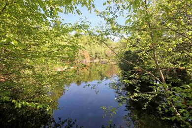 6 Pine Bluff, Derry, NH 03038 - photo 4