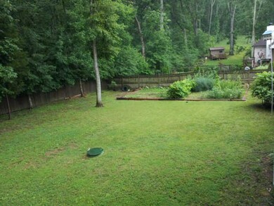 The back right corner of the yard. Vegetable garden, grapes, raspberries, black berries, and a fig tree! Nature at it's best!